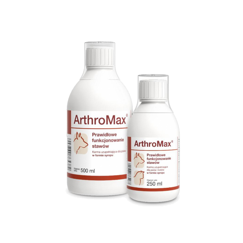 ArthroMax sirup za pravilno funkcioniranje zglobova 250 ml